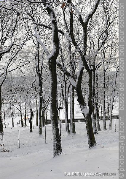 parc de Cointe sous la neige